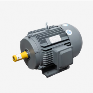 Motor LAEG TYP Series – Động cơ đồng bộ nam châm vĩnh cửu
