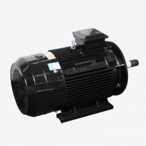 Motor LAEG TYP Series – Động cơ đồng bộ nam châm vĩnh cửu